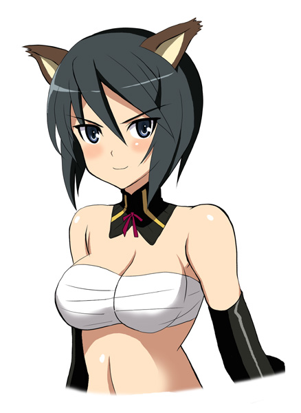 1girl animal_ears bad_id bad_pixiv_id bandages black_eyes black_hair blush breasts elbow_gloves female_focus gloves kuroe_ayaka kyogoku_shin sarashi short_hair simple_background smile solo strike_witches strike_witches_zero white_background world_witches_series