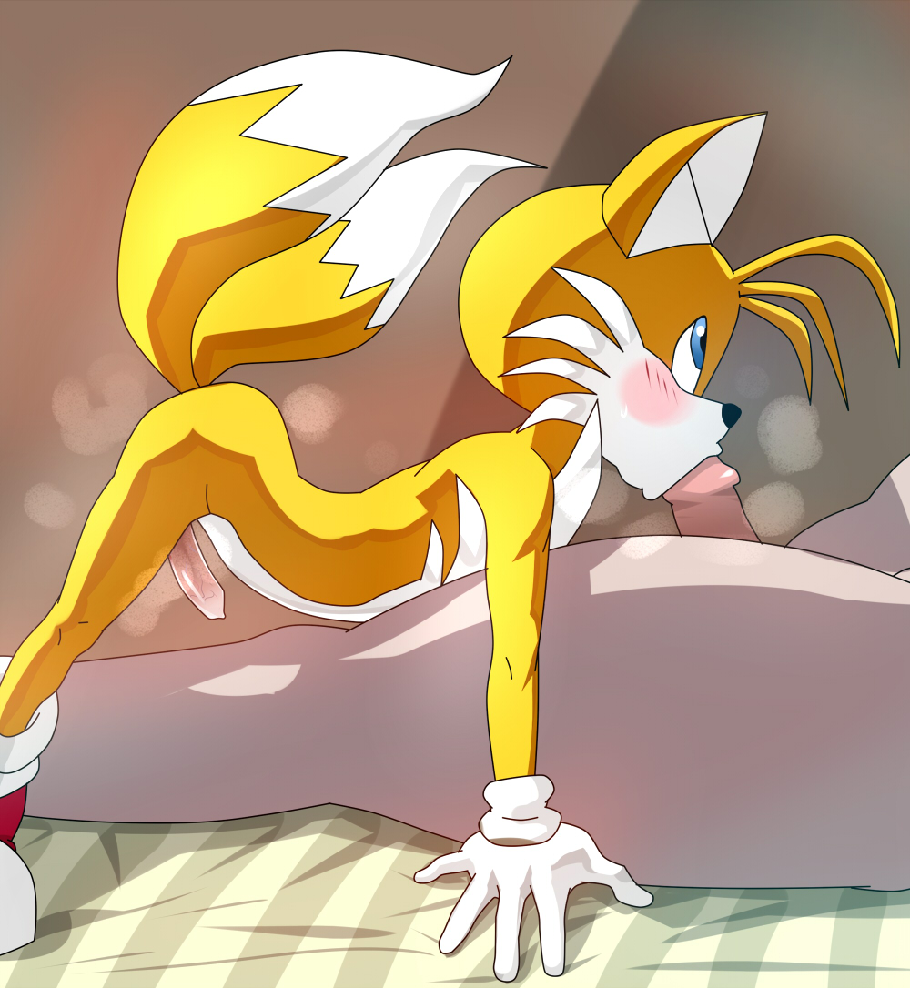sonic the hedgehog, tails (sonic), sonic (series), 2boys, blue eyes, blush,  erection, fellatio, furry, furry male, furry with non-furry, interspecies,  male focus, multiple boys, oral, penis, size difference, sweat, yaoi - Image