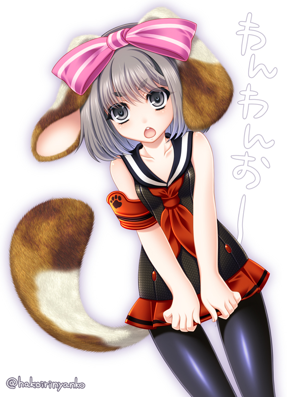 1girl animal_ears armband black_dress black_pantyhose black_sailor_collar blade_&amp;_soul bow breasts collarbone dress eyes_visible_through_hair floppy_ears grey_eyes grey_hair hair_bow hakoiri_nyanko legs_apart lyn_(blade_&amp;_soul) neckerchief open_mouth pantyhose paw_print pink_bow red_armband red_neckerchief sailor_collar sailor_dress short_dress short_hair simple_background sleeveless sleeveless_dress small_breasts solo standing striped_bow tail teeth twitter_username upper_teeth_only v-shaped_eyebrows white_background