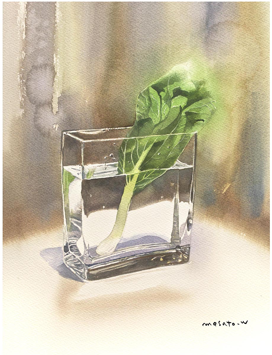 bok_choy food highres light no_humans object_focus original painting_(medium) plant potted_plant realistic shadow still_life traditional_media tray vegetable watanabe_masato water watercolor_(medium)