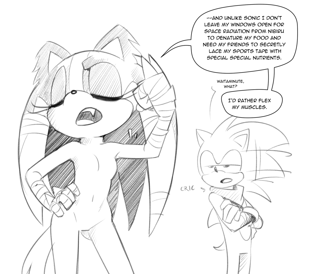 sonic the hedgehog, sticks the badger, sonic (series), sonic boom (series),  artist request, 1boy, 1girl, closed eyes, cosplay, costume switch, english  text, eyelashes, fang, furry, knuckles the echidna (cosplay), no nipples, no