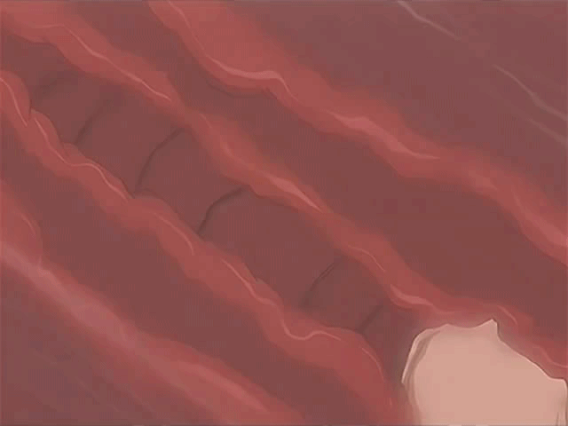 Tokubetsu Byoutou Animated Animated 00s Anal Futa With Female Futanari Penis Sex