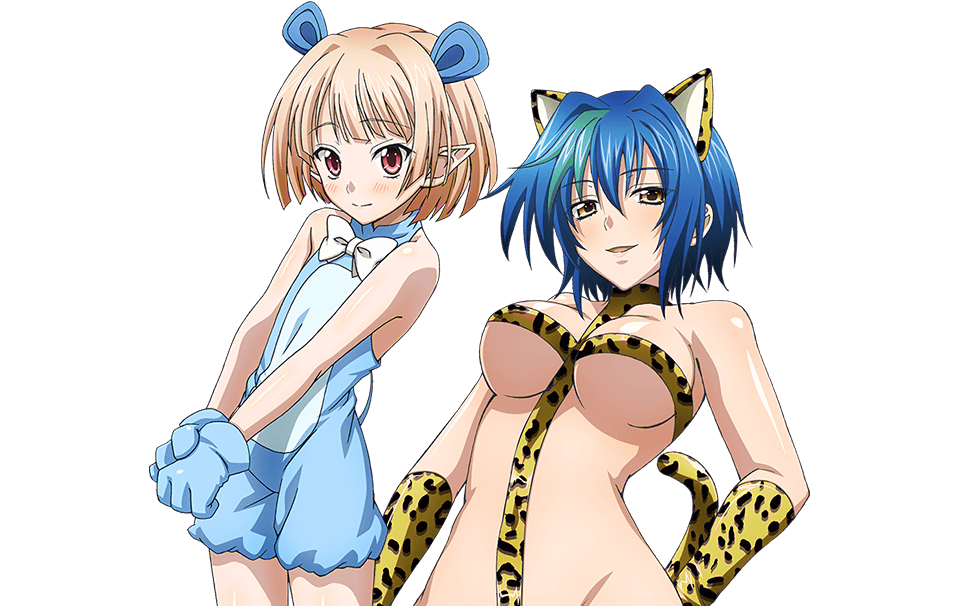 10s 1boy 1girl animal_ears bikini blonde_hair blue_hair breasts cat_ears fake_animal_ears gasper_vladi high_school_dxd large_breasts pointy_ears short_hair swimsuit trap xenovia_quarta yellow_eyes