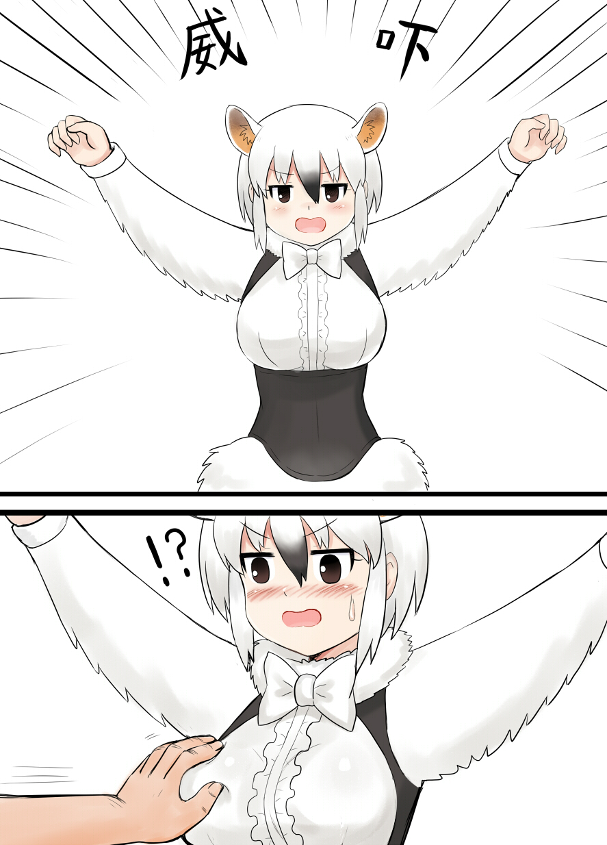 !? 1girl animal_ear_fluff animal_ears arms_up black_hair blush bow bowtie breasts brown_eyes center_frills chinese_commentary comic commentary_request emphasis_lines extra_ears frills fur_collar grabbing_another&#039;s_breast groping hair_between_eyes highres kemono_friends large_breasts long_sleeves looking_at_viewer multicolored_hair open_mouth short_hair simple_background southern_tamandua_(kemono_friends) sweatdrop tamandua_ears two-tone_hair underbust v-shaped_eyebrows white_background white_hair white_neckwear y.ssanoha