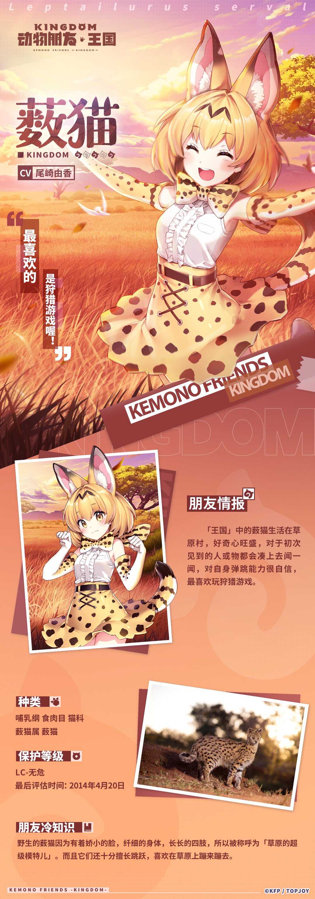 Serval Kemono Friends Kemono Friends Kemono Friends Kingdom