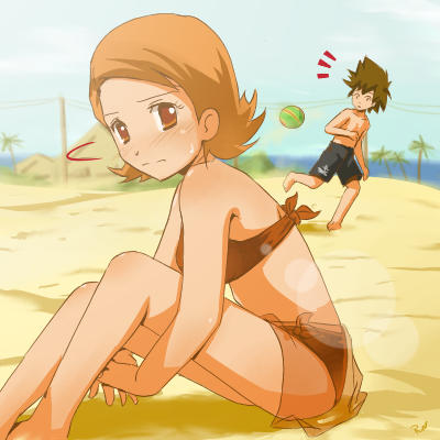 Takenouchi Sora Yagami Taichi Digimon Lowres Boy Girl Beach The Best