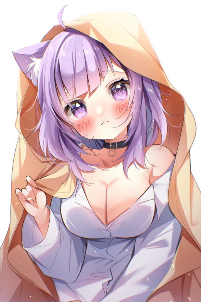 1girl :3 ahoge animal_collar animal_ear_fluff animal_ears black_collar blanket blush breasts cat_ears cleavage collar collared_shirt diagonal_bangs dress_shirt gau_(n00_shi) head_tilt hololive large_breasts looking_at_viewer medium_hair nekomata_okayu nekomata_okayu_(oversized_shirt) official_alternate_costume official_alternate_hair_length official_alternate_hairstyle partially_unbuttoned purple_eyes purple_hair shirt single_bare_shoulder solo virtual_youtuber white_shirt