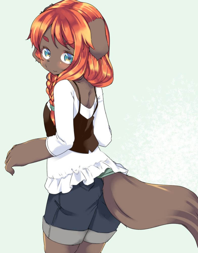 1girl animal_ears azuki_akizuki blue_background blue_eyes body_fur braid dog_ears dog_tail female_focus frills from_behind furry furry_female grey_fur looking_back orange_hair original shorts solo tail yuneri_(azuki_akizuki)