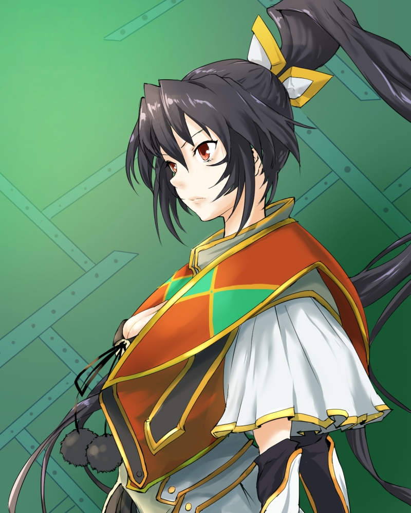 1girl black_hair colmack female_focus from_side green_background long_hair ponytail rance_(series) red_eyes sengoku_rance serious solo very_long_hair yamamoto_isoroku_(rance)