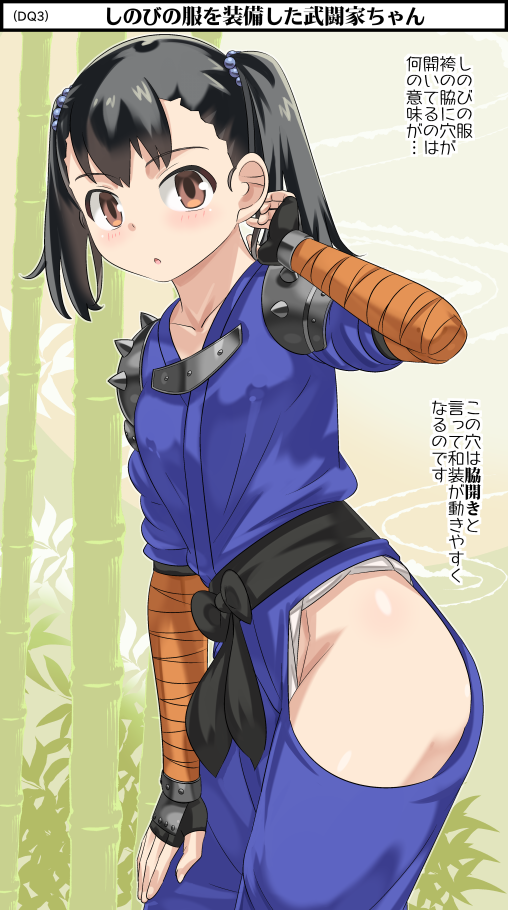 1girl armor bamboo black_hair brown_eyes collarbone dragon_quest dragon_quest_iii fighter_(dq3) fingerless_gloves gloves hair_bobbles hair_ornament imaichi japanese_clothes long_hair looking_at_viewer ninja short_twintails shoulder_armor solo twintails