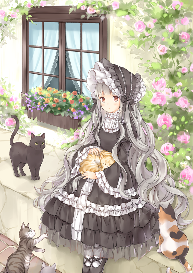 1girl animal animal_on_lap black_cat black_dress black_footwear black_hat blush bonnet brown_eyes brown_flower cat closed_mouth commentary_request curtains dress flower flower_box frilled_dress frilled_hat frills gothic_lolita grey_hair hat lolita_fashion long_hair long_sleeves looking_at_viewer on_lap orange_flower original pantyhose pink_flower pink_rose purple_flower rose shoes sitting solo very_long_hair wataame27 wavy_hair white_pantyhose wide_sleeves window