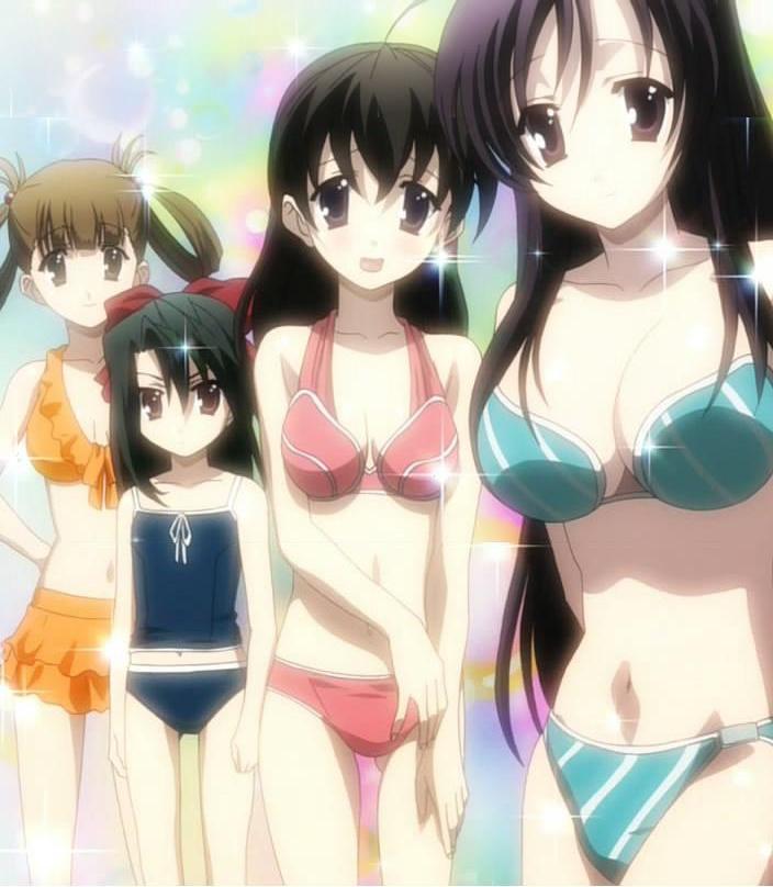 00s 4girls anime_screenshot bikini black_hair breast_envy breasts brown_hair cleavage female_focus flat_chest green_hair katsura_kotonoha kiyoura_setsuna kuroda_hikari large_breasts multiple_girls navel open_mouth purple_hair saionji_sekai school_days smile stitched swimsuit third-party_edit