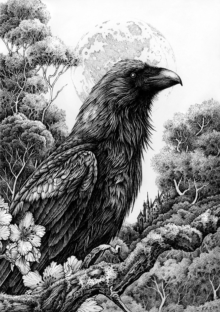 animal_focus bird crow greyscale karl_trewhela monochrome no_humans original outdoors signature solo tree