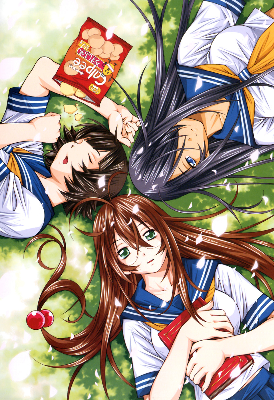 3girls ann_marcellino antenna_hair black_hair blue_eyes blue_skirt book brown_hair chouhi_ekitoku collarbone from_above glasses hair_bobbles hair_ornament hair_over_one_eye highres holding holding_book ikkitousen kan&#039;u_unchou long_hair looking_at_viewer lying multiple_girls official_art on_back open_mouth outdoors petals pleated_skirt ryuubi_gentoku school_uniform serafuku shiozaki_yuji shirt short_hair skirt sleeping white_shirt