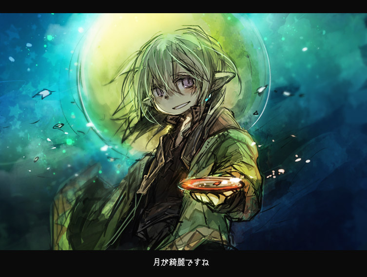 00s 1boy final_fantasy final_fantasy_xi fujiwara_akina full_moon green_hair letterboxed male_focus moon night pointy_ears purple_eyes short_hair solo tarutaru