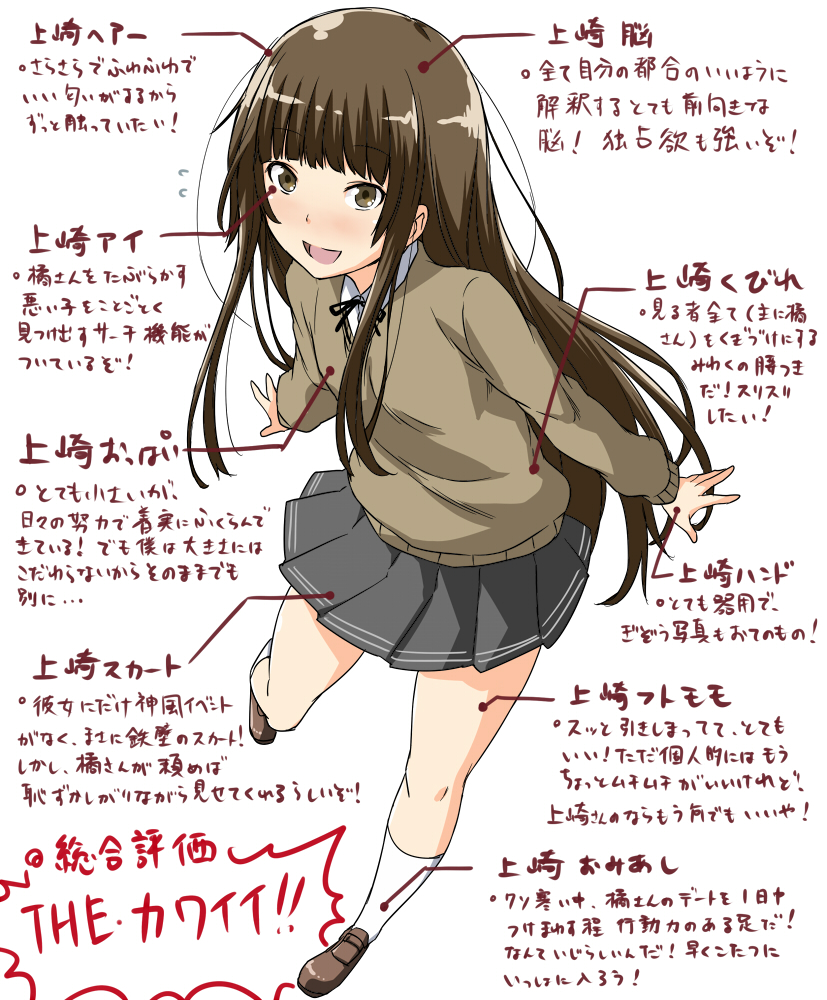 Shouji Nigou Kamizaki Risa Amagami Translated 1girl Brown Eyes Brown Hair Diagram Long