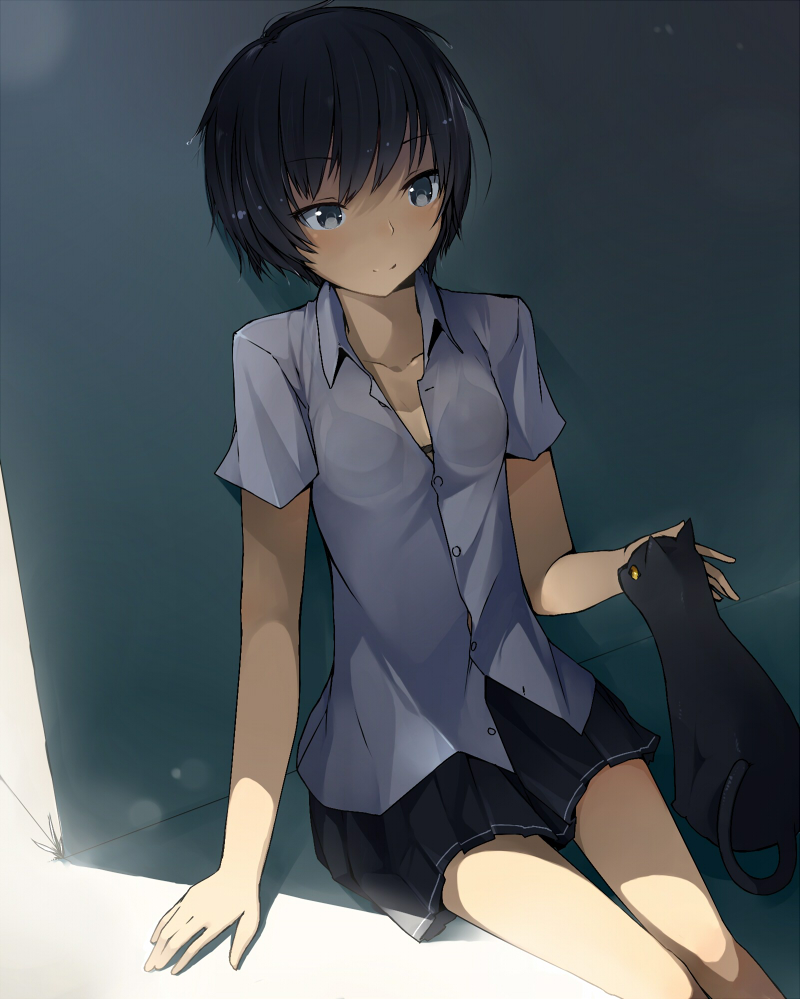 1girl amagami bad_id bad_pixiv_id black_cat black_hair cat en@rain female_focus light nanasaki_ai puu_(amagami) school_uniform shade short_hair sitting skirt solo