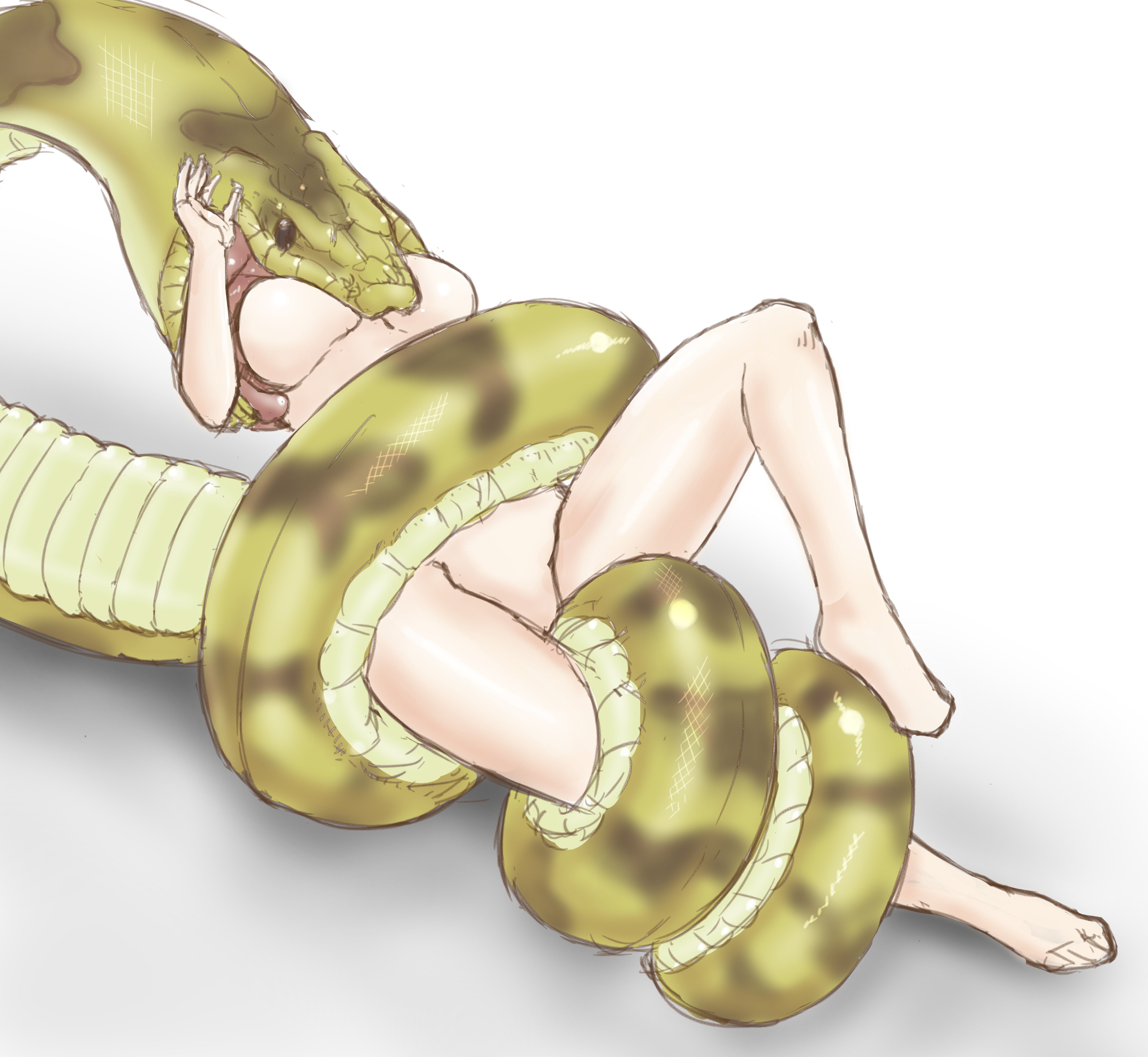 fozz (fottsu), original, absurdres, highres, 1girl, animal, breasts,  coiled, groin, large breasts, nude, peril, restrained, snake, vore - Image  View - | Gelbooru - Free Anime and Hentai Gallery