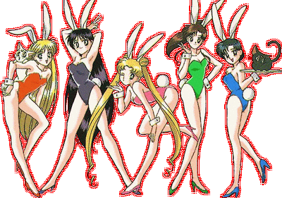 5girls aino_minako animal_costume artemis_(sailor_moon) bishoujo_senshi_sailor_moon hino_rei kino_makoto luna_(sailor_moon) mizuno_ami multiple_girls rabbit_costume rabbit_ears rabbit_tail sailor_jupiter sailor_mars sailor_mercury sailor_moon sailor_venus tsukino_usagi