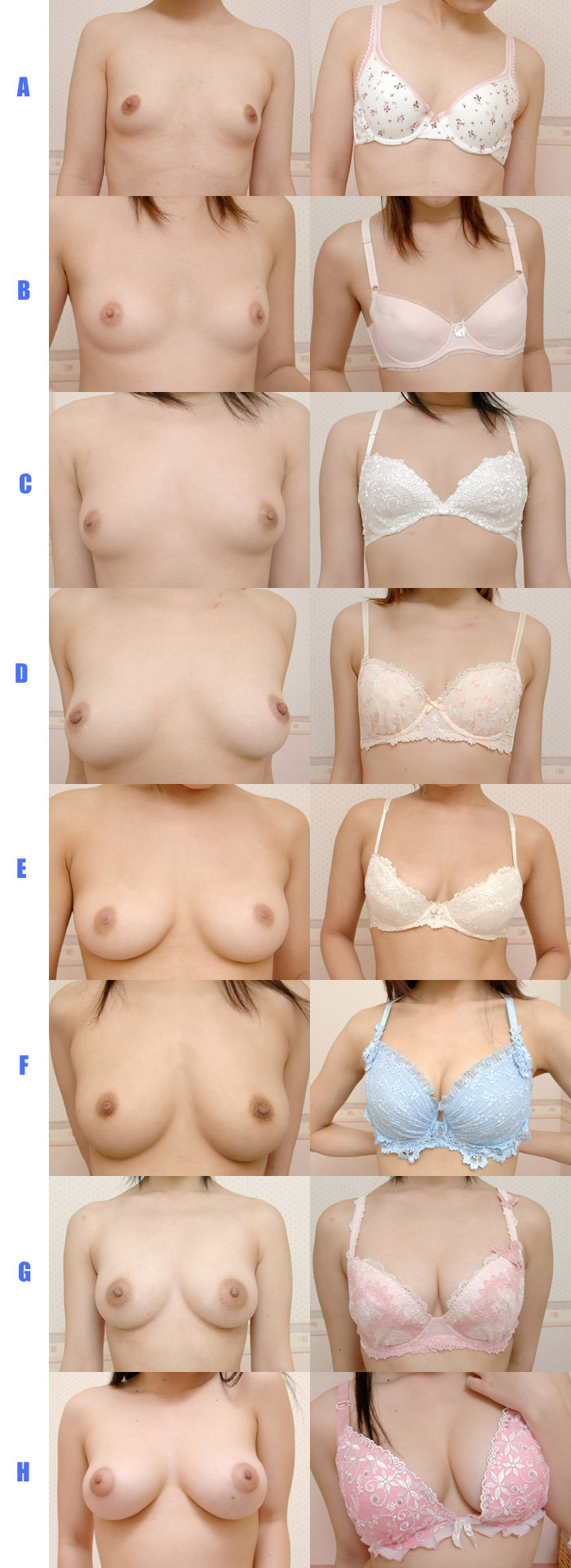 Yuki Sasame Highres Long Image Tall Image 6 Girls Asian Bra Breasts Bust Chart Chart