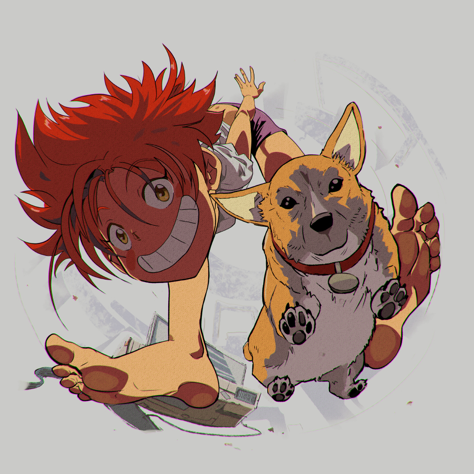 1girl collar cowboy_bebop dog edward_wong_hau_pepelu_tivrusky_iv ein_(cowboy_bebop) red_collar smile toes