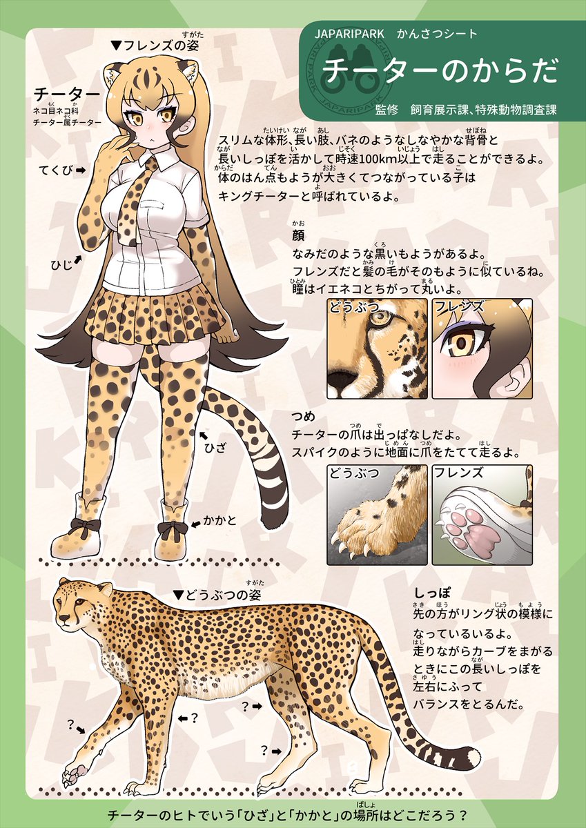 Tanaka Kusao Cheetah Kemono Friends Kemono Friends Highres Translation Request 1girl
