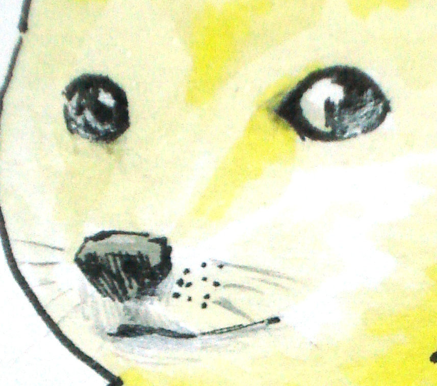 bad_id bad_pixiv_id doge looking_at_viewer no_humans solo tagme whiskers yue_nan