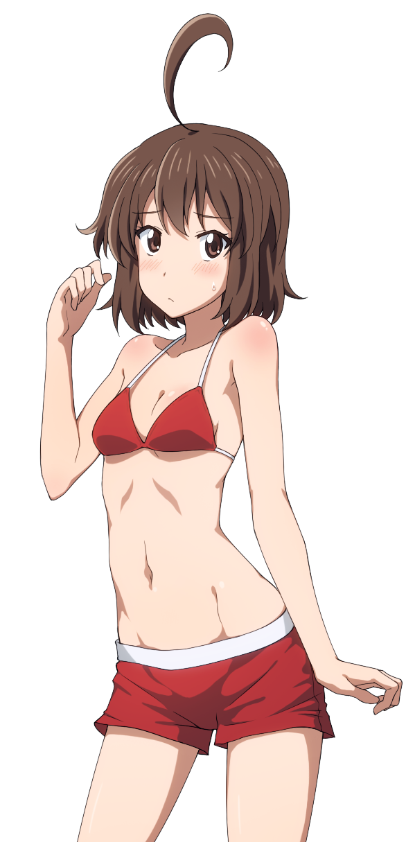 10s 1girl ahoge andou_natsuki arm_at_side arm_up bikini bikini_shorts bikini_top_only blush breasts brown_eyes brown_hair cleavage cowboy_shot female_focus highres kitakubu_katsudou_kiroku looking_at_viewer midiman navel red_bikini short_hair shorts small_breasts solo standing sweatdrop swimsuit transparent_background