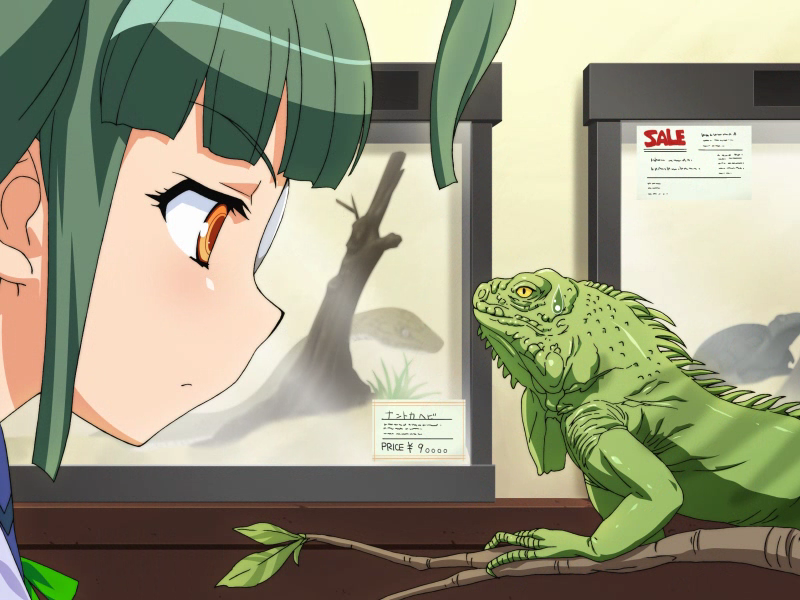 1girl ahoge aquarium branch eyepatch female_focus green_hair iguana_(animal) indoors lizard non-web_source orange_eyes otomedius otomedius_excellent ribbon school_uniform snake solo sweat sweatdrop tita_nium turtle yellow_eyes