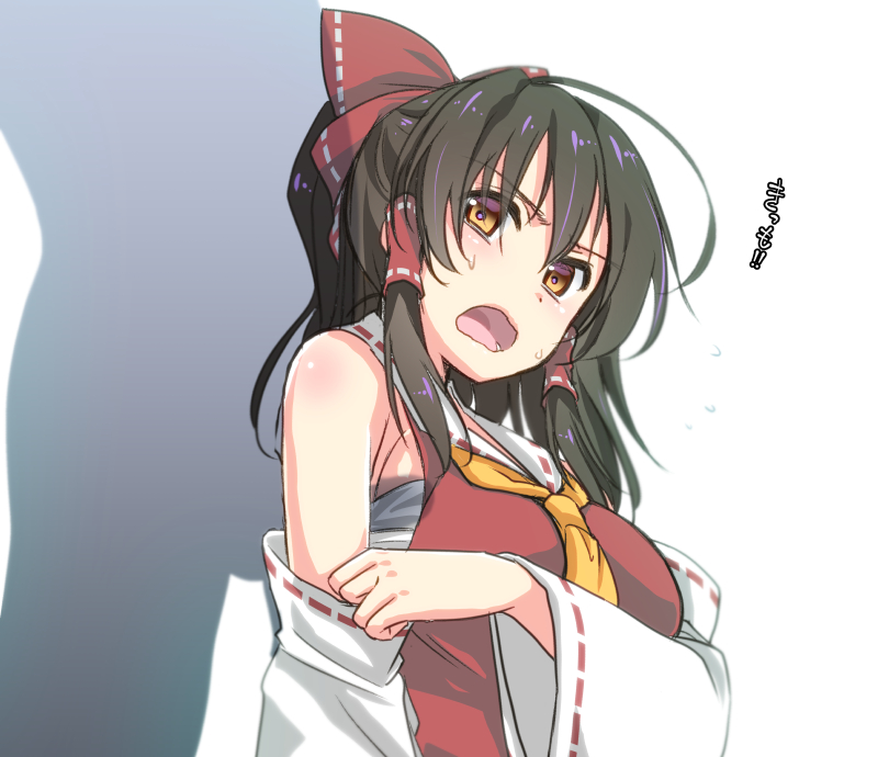 Shigemiya Kyouhei Hakurei Reimu Touhou Bad Id Bad Pixiv Id 1boy 1girl Ahoge Angry 2601