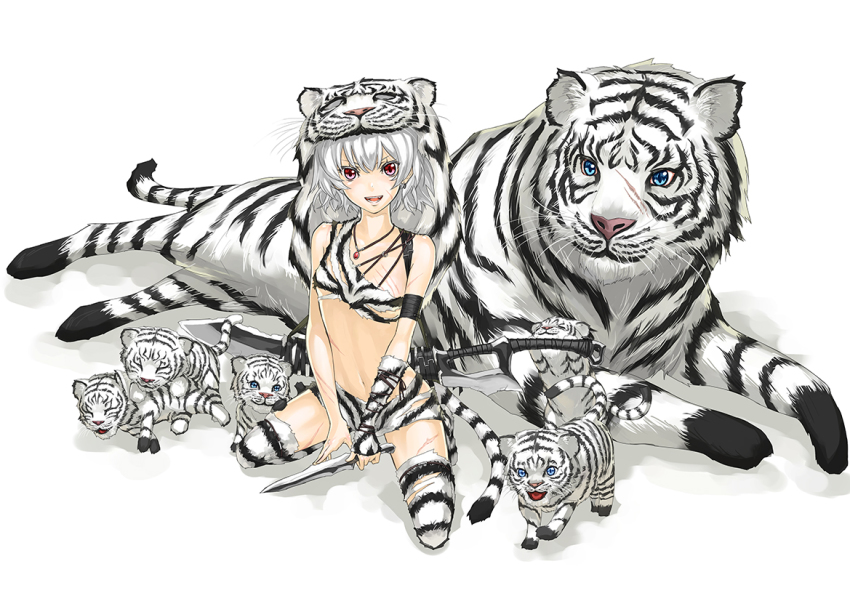 1girl baby_animals bad_id bad_pixiv_id blue_eyes dagger female_focus kneeling knife kurogin original red_eyes scar short_hair solo sword tail thighhighs tiger tiger_cubs weapon white_hair white_tiger