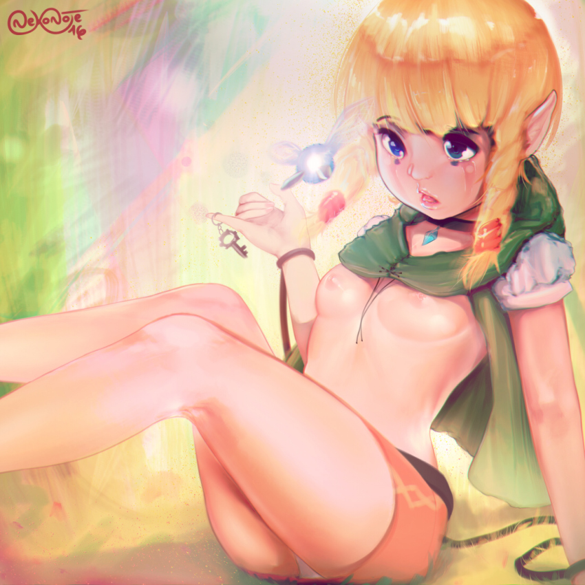 Nekonote Neko No Te92 Linkle Hyrule Warriors Nintendo The Legend