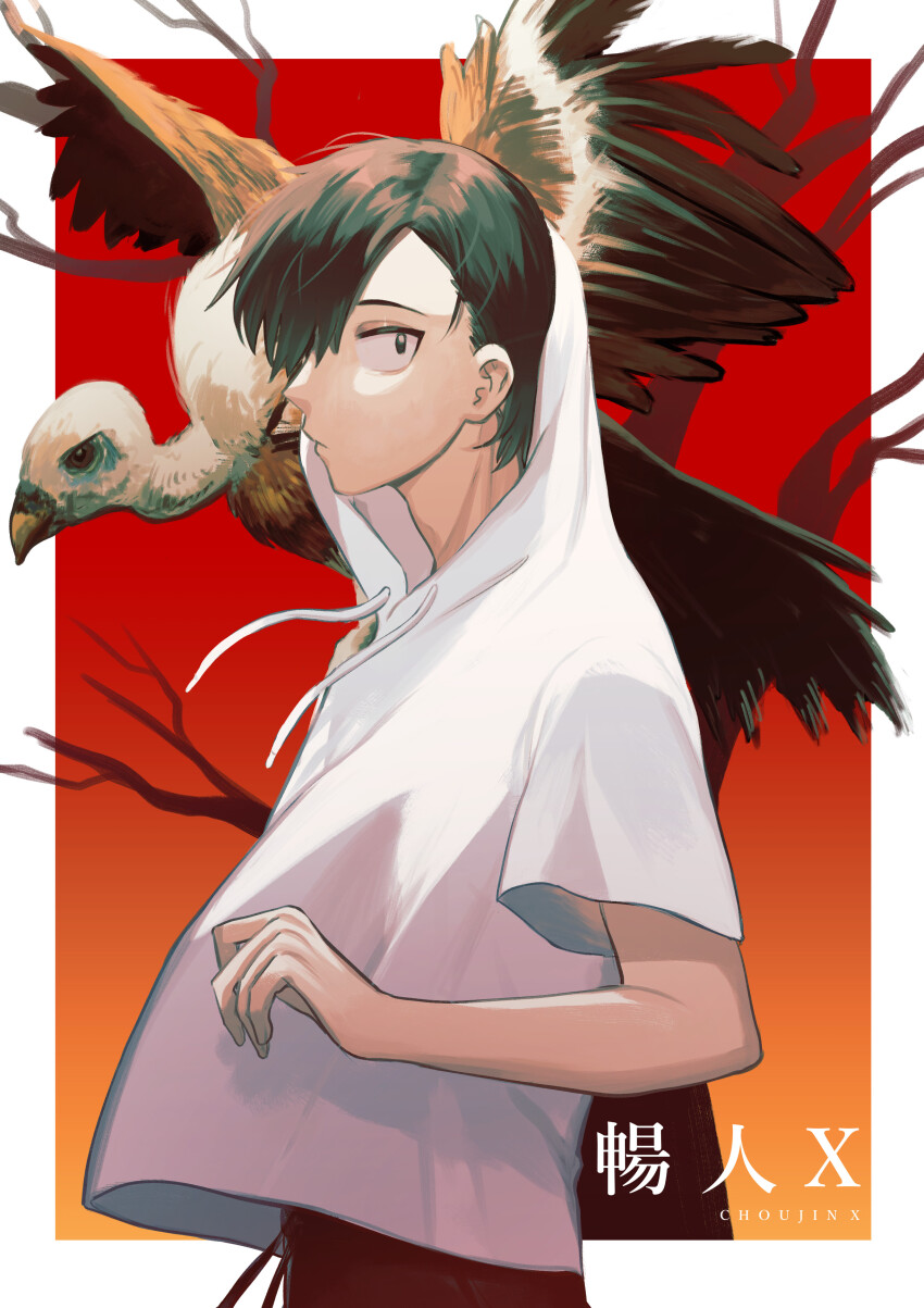 1boy absurdres animal animal_on_shoulder bare_tree bird bird_on_shoulder black_hair border brown_hair choujin_x copyright_name gradient_background hair_over_one_eye highres ikahueki kurohara_tokio_(choujin_x) looking_at_viewer outside_border short_hair tree vulture white_border white_hood