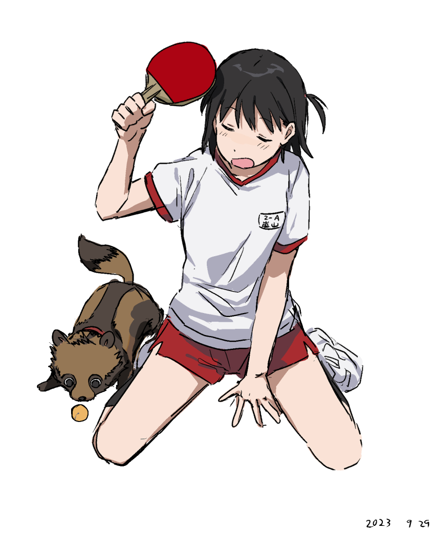 1girl animal arashiyama_hotori ball black_hair brown_fur closed_eyes collar commentary dated dog gym_uniform highres josephine_(soredemo_machi_wa_mawatteiru) kneeling medium_hair one_side_up open_mouth paddle red_shorts shirt shorts side_ahoge simple_background soredemo_machi_wa_mawatteiru table_tennis_ball table_tennis_paddle takatisakana white_background white_footwear white_shirt