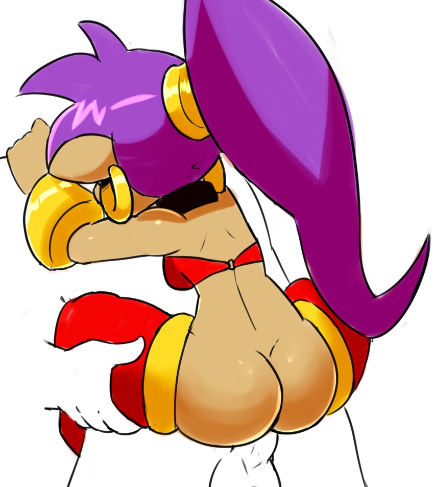 1boy 1girl ass bottomless dark_skin erection hetero highres notepaddy penis ponytail purple_hair sex shantae shantae_(series) solo_focus uncensored