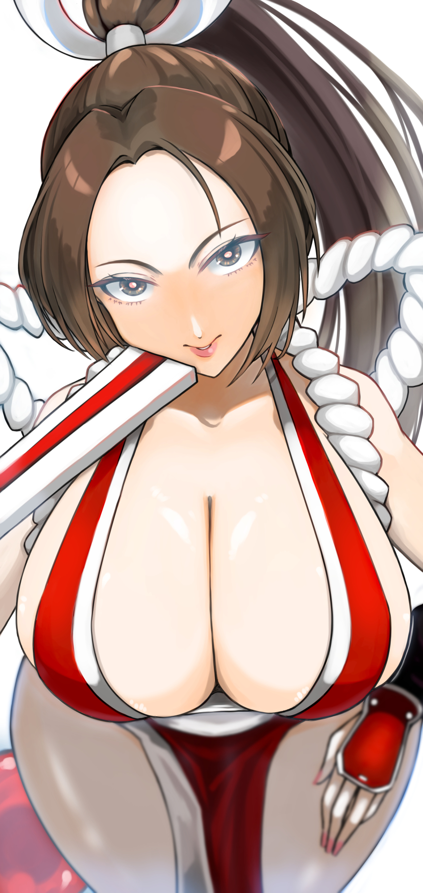 1girl breasts fatal_fury huge_breasts long_hair ponytail shiranui_mai