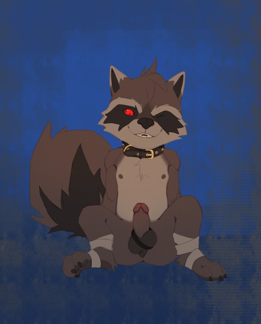 1boy animal_ears bandaged_foot bandages black_collar claws collar commentary erection furry furry_male highres looking_at_viewer male_focus marvel marvel_rivals nipples nude one_eye_closed pawpads penis raccoon_boy raccoon_ears raccoon_tail red_eyes rocket_raccoon sitting smile supechips symbol-only_commentary tail testicles whiskers