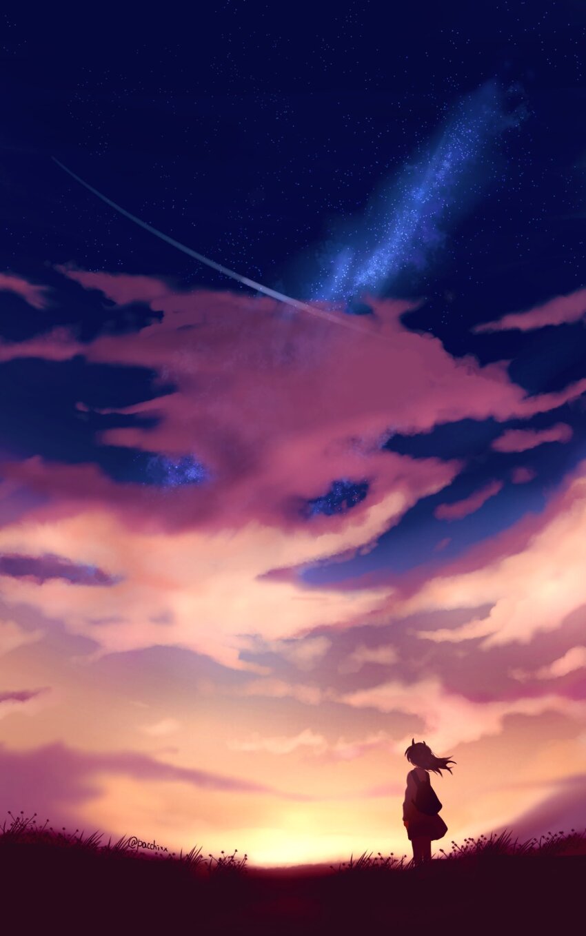 1girl backlighting backpack bag cloud cloudy_sky dress facing_away gradient_sky grass highres landscape long_hair milky_way original outdoors pacchixx scenery sky solo standing star_(sky) starry_sky sunset twitter_username wide_shot