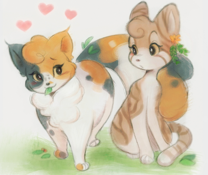 animal animal_focus animification blush calico cat commentary doekis ear_flower flower fluffy holding holding_leaf leaf leafpool mouth_hold no_humans outdoors sitting sketch sorreltail standing symbol-only_commentary tabby_cat tail the_new_prophecy warrior_cats