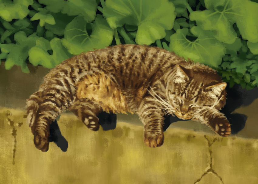 animal animal_focus cat closed_eyes closed_mouth commentary crack day full_body leaf no_humans original outdoors pawpads realistic sadajiro shadow sleeping solo tabby_cat tabby_coat_pattern