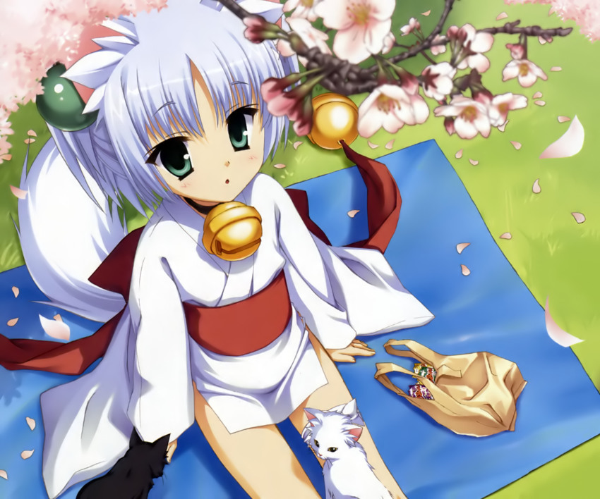 1girl animal_ears bag bell blue_hair blurry cat cherry_blossoms child depth_of_field female_focus flower from_above green_eyes grocery_bag highres japanese_clothes muririn neck_bell petals rindou_ruri shopping_bag short_hair sitting solo tail tenshinranman