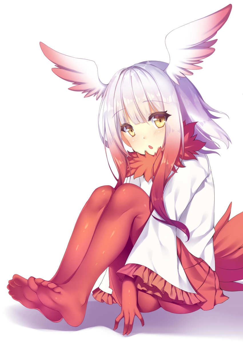 10s 1girl absurdres akabane bird_tail blunt_bangs blush eyebrows feet female_focus gloves head_wings highres japanese_crested_ibis_(kemono_friends) kemono_friends long_sleeves looking_at_viewer multicolored_hair no_shoes open_mouth pantyhose pleated_skirt red_gloves red_pantyhose red_skirt short_hair silver_hair simple_background skirt solo tail toes two-tone_hair white_background wings yellow_eyes