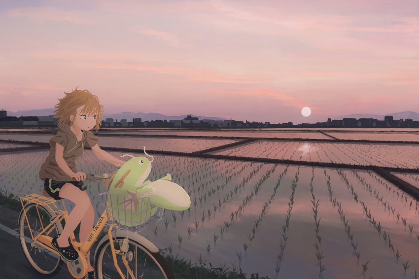 1girl 1other bicycle blonde_hair grass grey_hoodie highres hood hoodie looking_to_the_side medium_hair nerio_(neri_akira) original rice_paddy riding riding_bicycle road short_sleeves shorts sunset