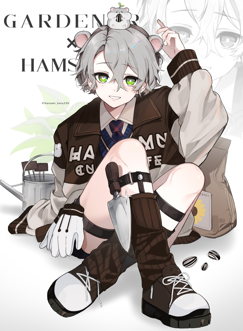 1boy absurdres animal_ears bag black_footwear blue_vest brown_leg_warmers english_text full_body green_eyes grey_hair grin hair_between_eyes hamster_ears hamster_on_head hanami_haru highres jacket leg_warmers male_focus mismatched_pupils necktie open_clothes open_jacket original plaid_clothes plaid_necktie seed shirt shoelaces shoes smile sneakers sunflower_seed teeth twitter_username vest watering_can white_shirt zoom_layer