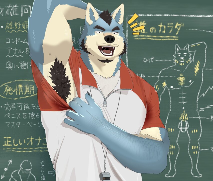1boy 3d anatomy animal_ears armpits bara blue_fur chalkboard classroom clothes_pull coach come_hither excessive_armpit_hair facial_hair furry furry_male goatee highres large_pectorals looking_at_viewer male_focus mature_male muscular muscular_male mustache_stubble nagick_18 original pectorals presenting_armpit shirt_pull short_hair smile solo sparse_arm_hair stubble sweat thick_eyebrows translation_request tsurime two-tone_fur upper_body whistle whistle_around_neck white_fur wolf_boy wolf_ears