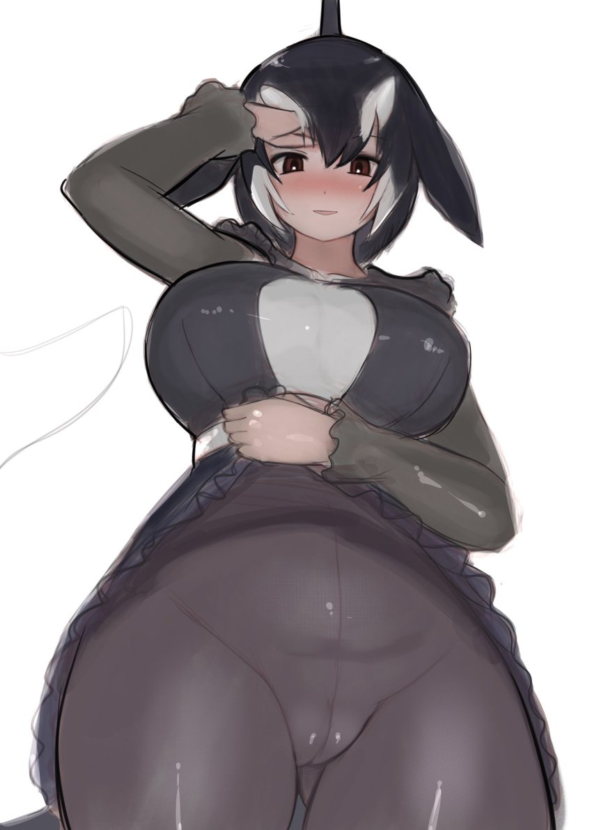 1girl alternate_breast_size arm_up blush breasts brown_eyes cameltoe cetacean_tail clothes_lift cowboy_shot crotch_seam dolphin_girl dorsal_fin dress dress_lift fins fish_tail from_below gluteal_fold hair_lift head_fins highres kemono_friends large_breasts lifting_own_clothes long_sleeves looking_at_viewer looking_down medium_dress nose_blush orca_(kemono_friends) pantyhose shibori_kasu simple_background sketch smile solo tail taut_clothes taut_dress white_background