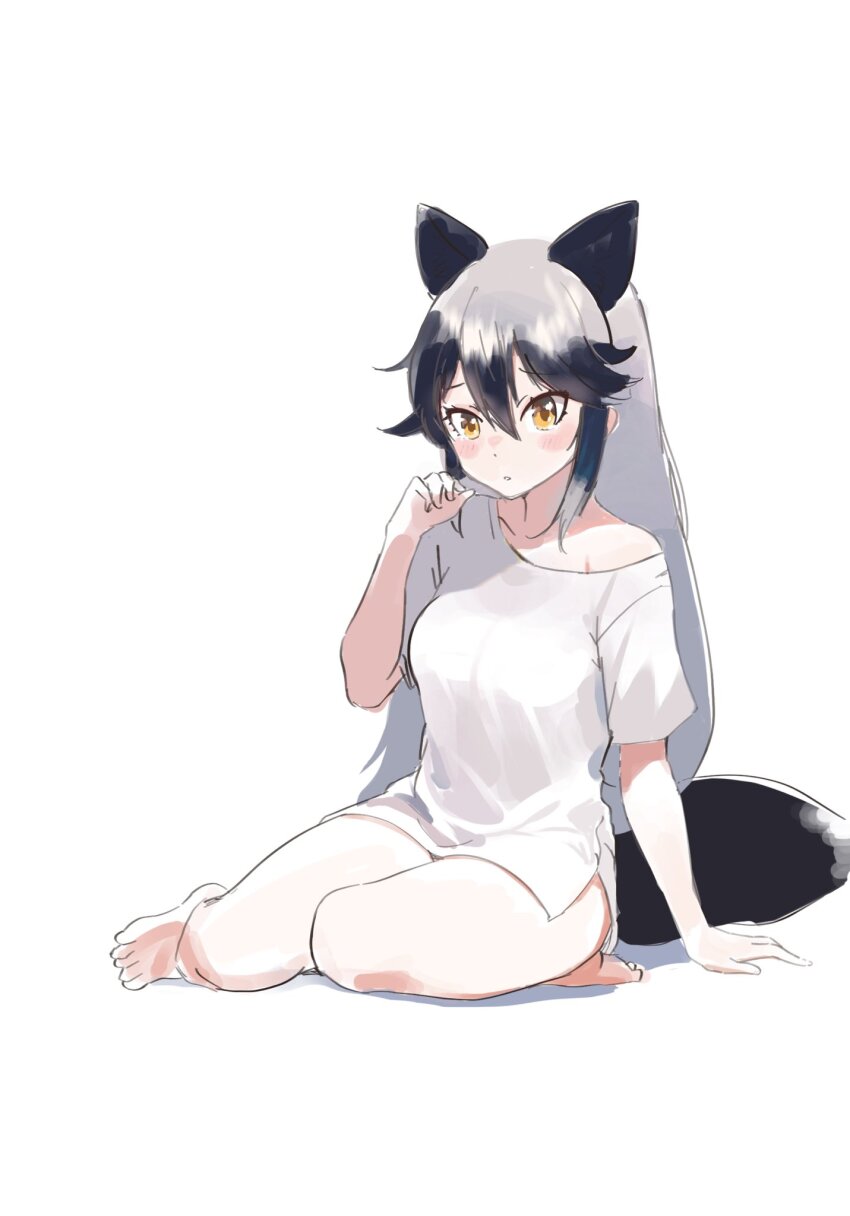 1girl animal_ears bare_legs barefoot blush extra_ears fox_ears fox_girl fox_tail full_body grey_hair hair_between_eyes highres ieinu_account kemono_friends long_shirt multicolored_hair no_pants orange_eyes shirt sidelocks silver_fox_(kemono_friends) sitting solo t-shirt tail white_shirt