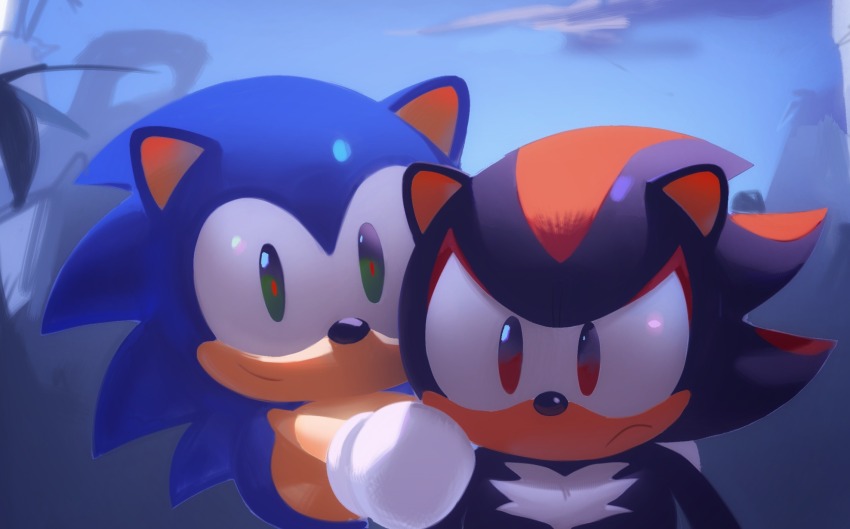 2boys animal_ears animal_nose closed_mouth commentary day english_commentary frown furry furry_male gloves green_eyes hand_on_another&#039;s_shoulder highres looking_at_viewer male_focus multiple_boys murzanic outdoors red_eyes shadow_the_hedgehog smile sonic_&amp;_friends sonic_(series) sonic_the_hedgehog white_gloves