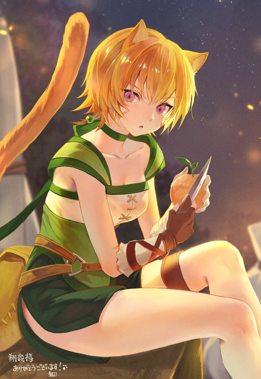 1girl animal_ears belt breasts brown_belt cat_ears cat_girl cat_tail choker cleavage facial_mark fire_emblem fire_emblem:_path_of_radiance fire_emblem:_radiant_dawn food fruit green_choker green_shorts highres holding holding_food holding_fruit holding_knife kiriyama2109 knife laguz_(fire_emblem) lethe_(fire_emblem) looking_at_viewer nintendo o-ring o-ring_belt open_mouth orange_hair orange_tail pouch purple_eyes shorts side_slit side_slit_shorts sitting solo tail thigh_belt thigh_strap thighs whisker_markings wrist_wrap