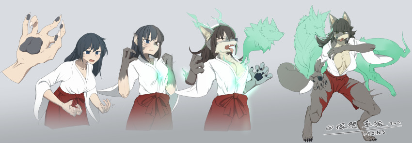 1girl absurdres animal_ear_fluff animal_ears animal_nose artist_name black_hair blue_eyes blue_hair body_fur breasts claws commission furrification furry grey_fur hakama hakama_pants highres iruka_neru japanese_clothes medium_breasts miko open_mouth original pants pawpads possessed possession red_pants sequential snout spirit tail tongue tongue_out transformation werewolf white_skimono wolf_ears wolf_girl wolf_tail